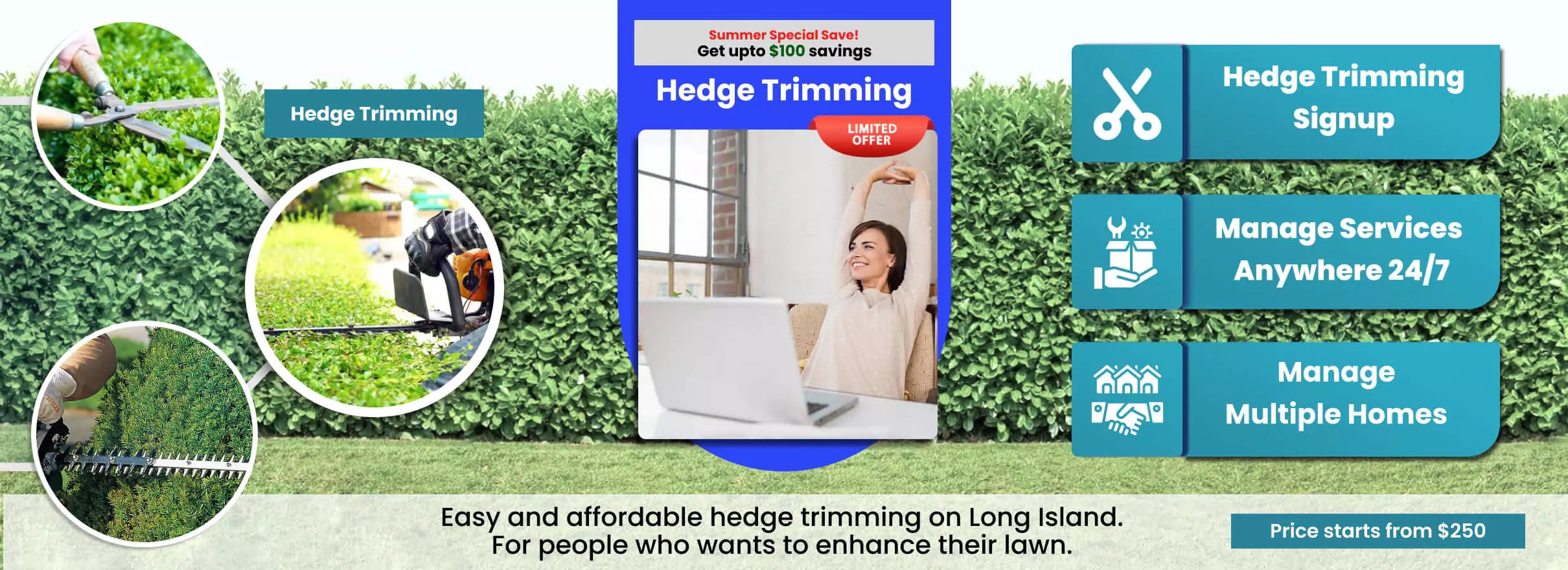 Hedge trimming background
