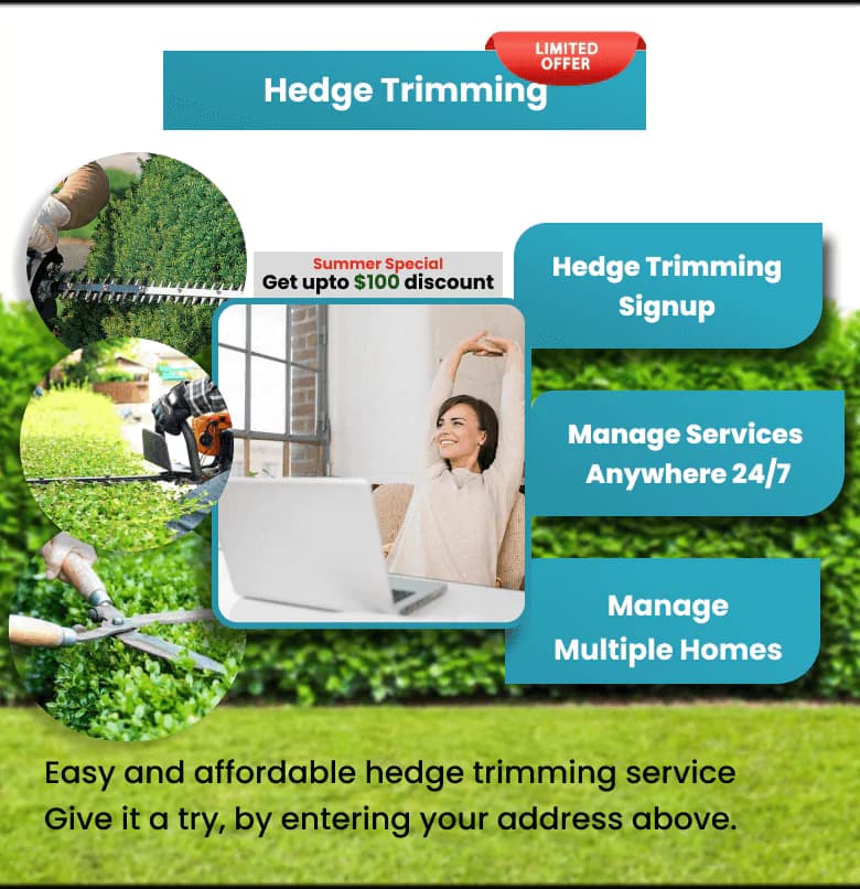 Hedge trimming background