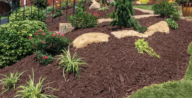 Mulch installation image