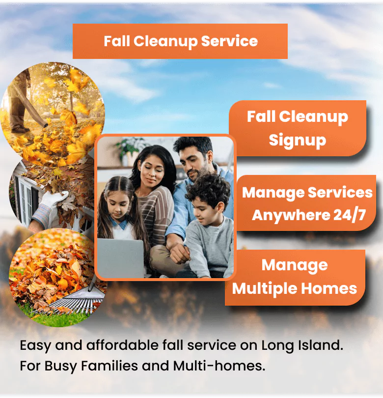 Fall cleanup background